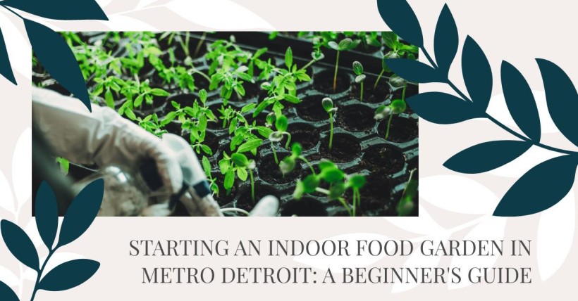 Starting an Indoor Food Garden in Metro Detroit: A Beginner's Guide