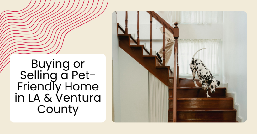 Buying or Selling a Pet-Friendly Home in LA & Ventura County