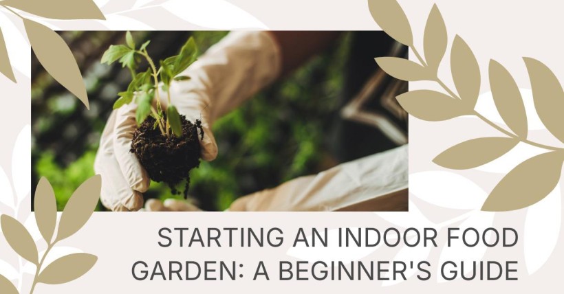 Starting an Indoor Food Garden: A Beginner's Guide