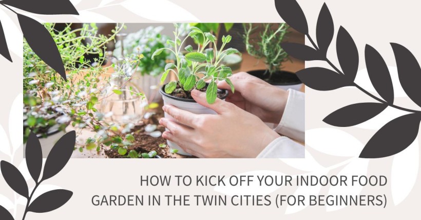 How to Kick Off Your Indoor Food Garden in the Twin Cities (for Beginners)