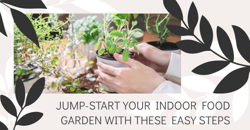 Jump-start Your Indoor Food Garden with These Easy Steps