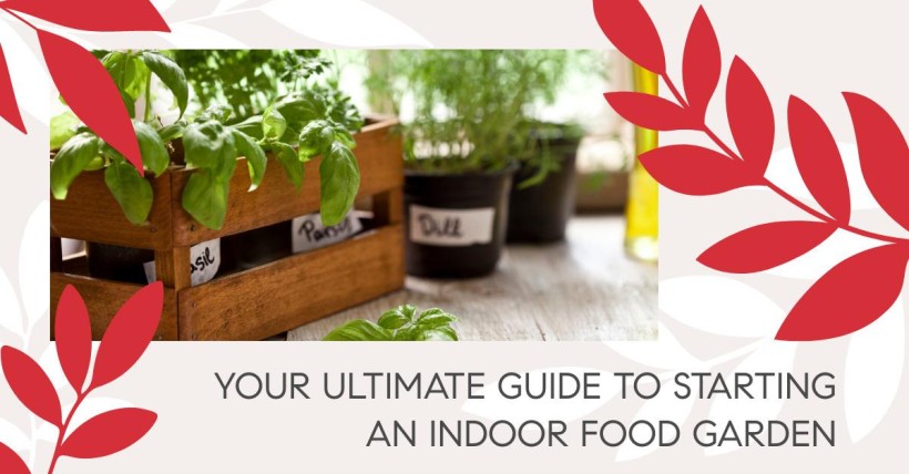 Your Ultimate Guide to Starting an Indoor Food Garden