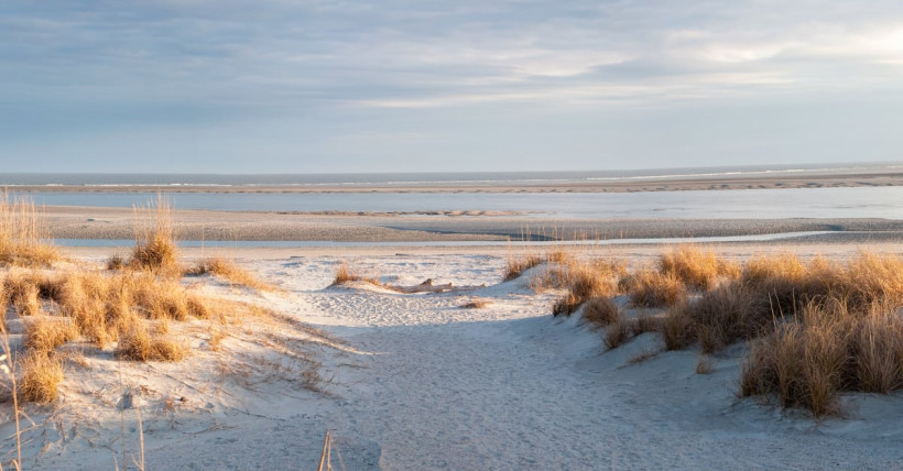 State of the Beach Report: Isle of Palms