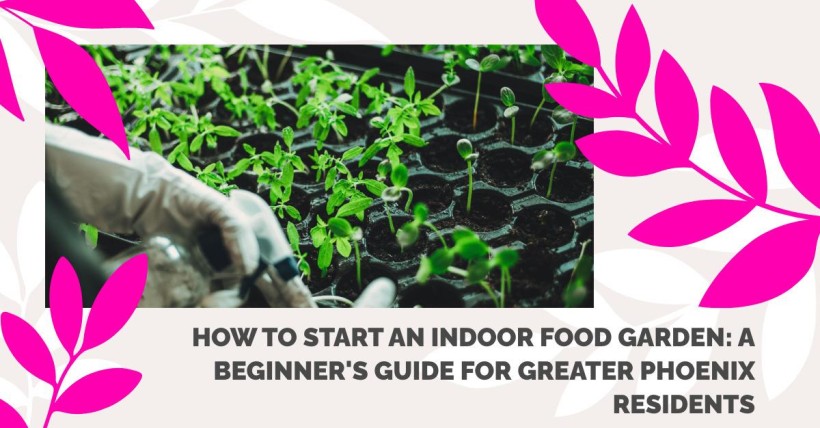 How to Start an Indoor Food Garden: A Beginner's Guide for Greater Phoenix Residents