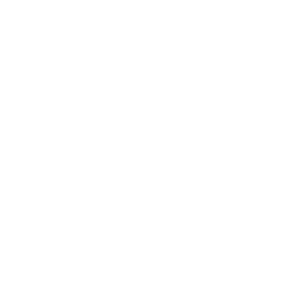 Jesse Jin Real Estate