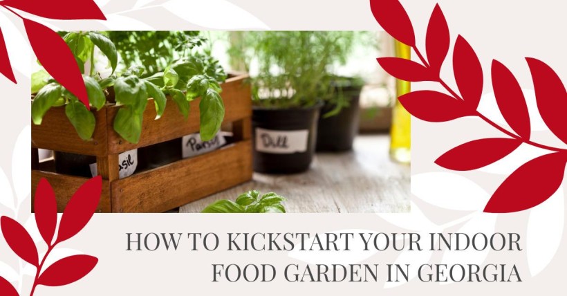 How to Kickstart Your Indoor Food Garden in Georgia