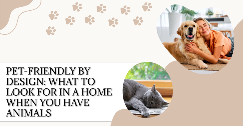 Pet-Friendly by Design: What to Look for in a Home When You Have Animals
