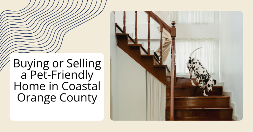 Buying or Selling a Pet-Friendly Home in Coastal Orange County