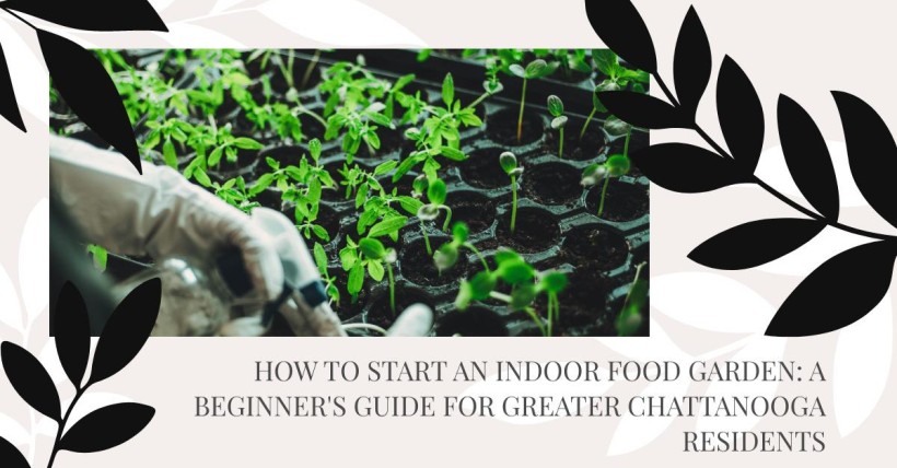 How to Start an Indoor Food Garden: A Beginner's Guide for Greater Chattanooga Residents