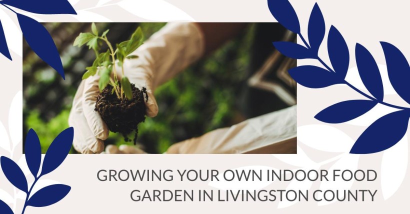 Growing Your Own Indoor Food Garden in Livingston County