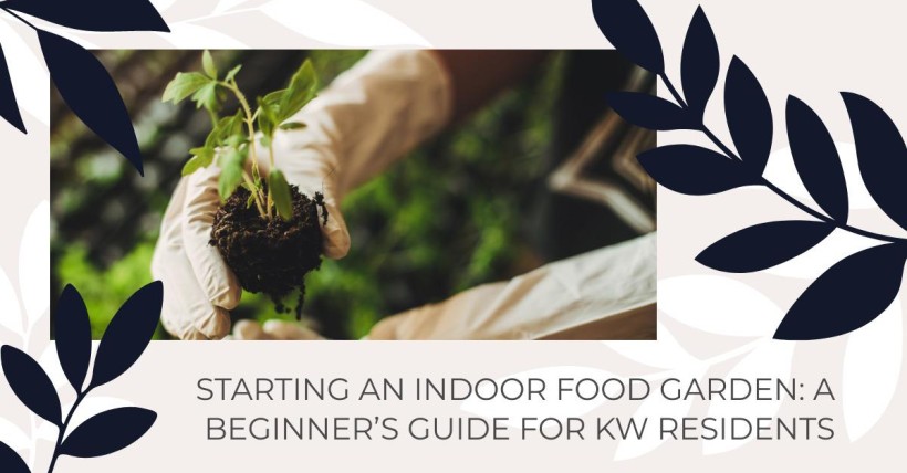 Starting an Indoor Food Garden: A Beginner’s Guide for KW Residents