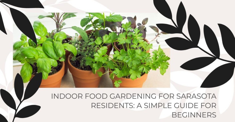 Indoor Food Gardening for Sarasota Residents: A Simple Guide for Beginners