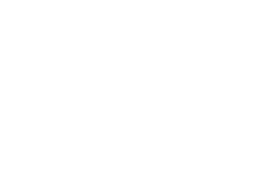 The Primo Group