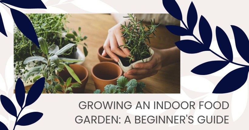 Growing an Indoor Food Garden: A Beginner's Guide