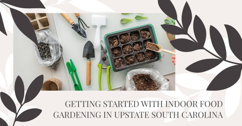 Getting Started with Indoor Food Gardening in Upstate South Carolina