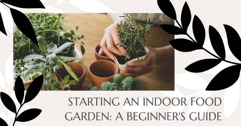 Starting an Indoor Food Garden: A Beginner's Guide