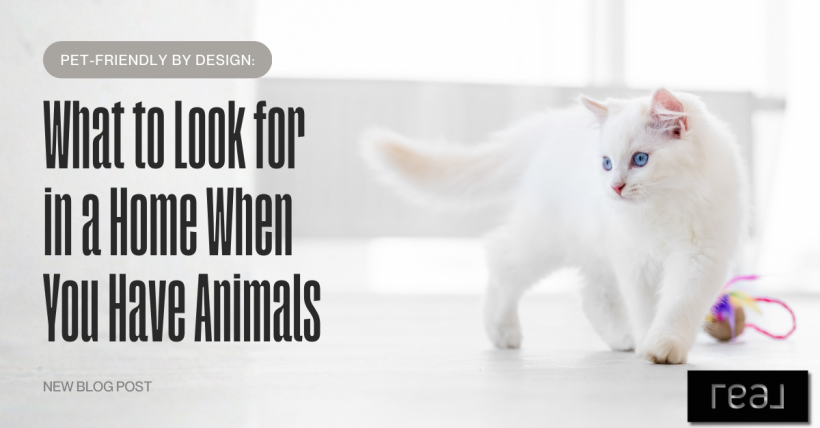 Pet-Friendly by Design: What to Look for in a Home When You Have Animals