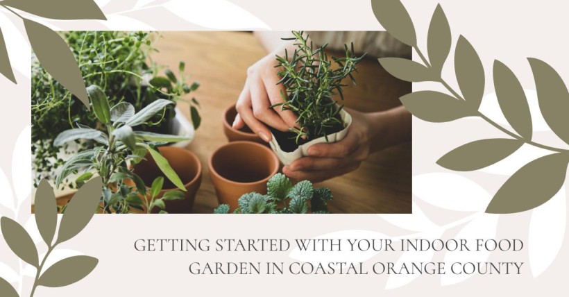 Getting Started with Your Indoor Food Garden in Coastal Orange County