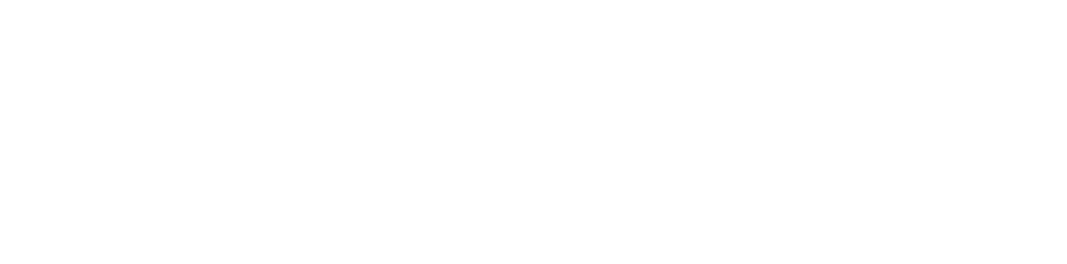 Elder Group Tahoe Real Estate