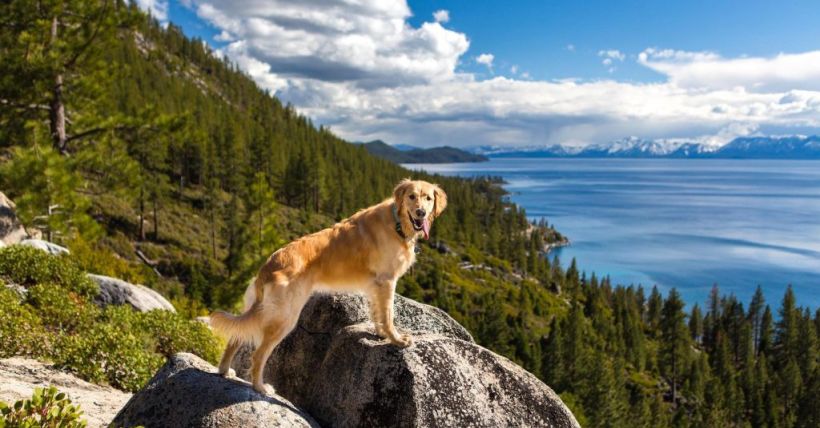 MEMORIAL WEEKEND ADVENTURES IN TAHOE-TRUCKEE!