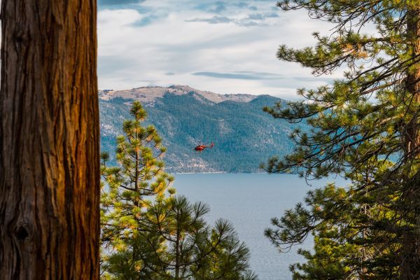 Tahoe's Latest Buzz: New Brews, Hot Deals & Resort Peaks!