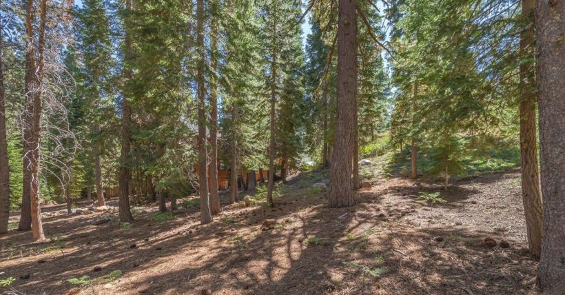14590-copenhagen-drive-truckee-ca-tahoe-donner