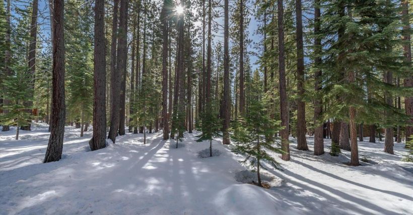 11888-chamonix-road-truckee-ca-tahoe-donner Copy