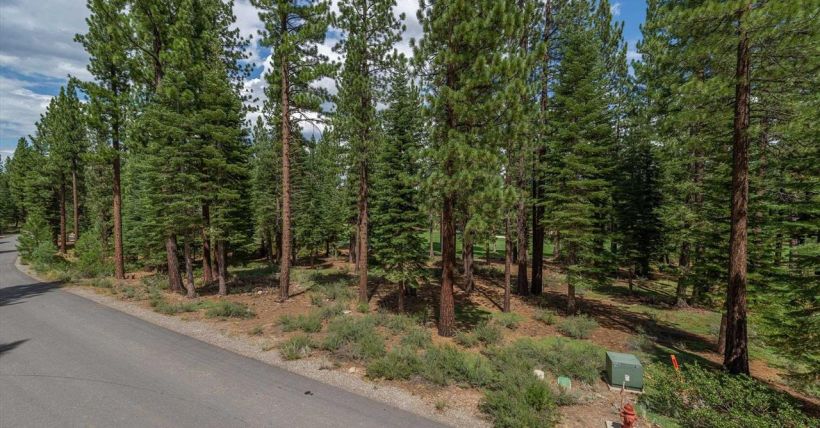 12227-pete-alvertson-truckee-ca-lahontan