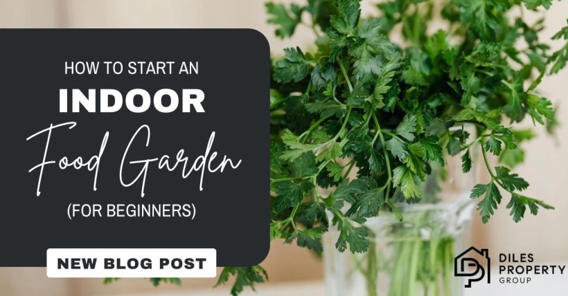 Your Guide to Starting an Indoor Food Garden in the Dallas-Fort Worth Metro Area