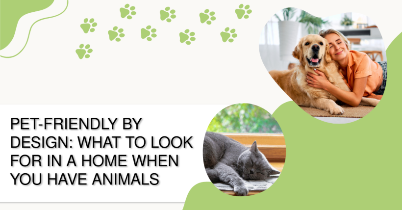 Pet-Friendly by Design: What to Look for in a Home When You Have Animals