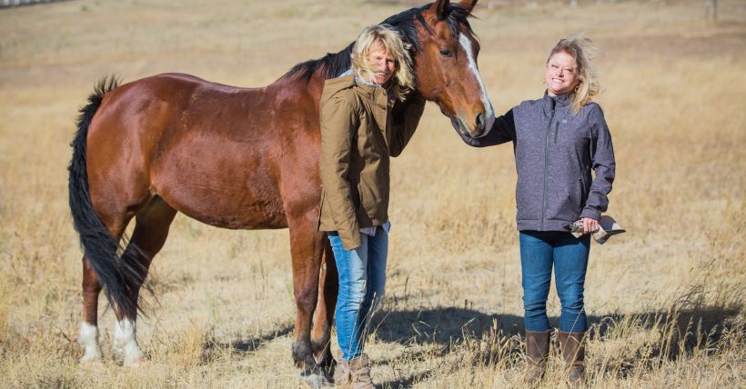 Real Estate FAQs | Sheridan WY Home Buying and Selling Questions