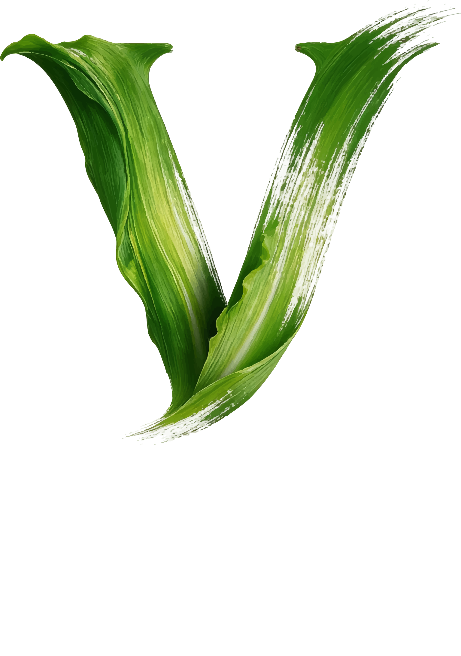 VARA: The Real Estate Collective