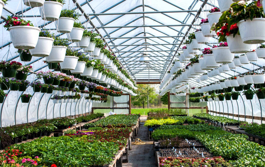 15 Local Nurseries and Garden Centers around
