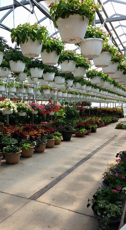 15 Local Nurseries and Greenhouses around