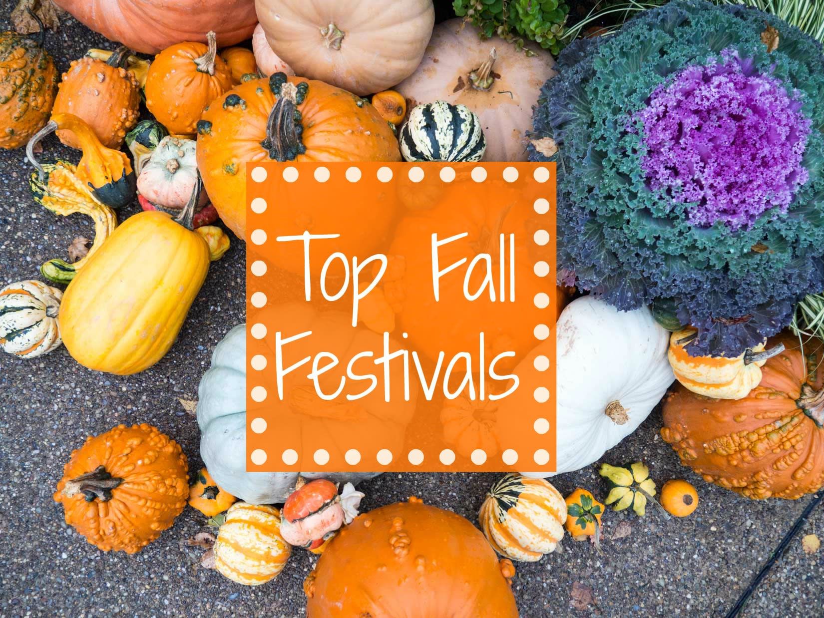 coconut-grove-pumpkin-patch-festival-florida-fall-fun-pumpkin-patch