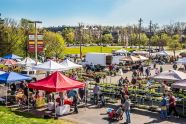 2019 Summer Events In Downtown Rochester