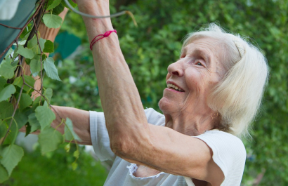 The Nitty Gritty on Low-Maintenance and Budget-Friendly Landscapes for Seniors