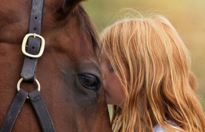 If You Love Horses, You'll Love This