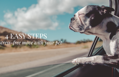How to Move With Your Pets in 4 Easy Steps