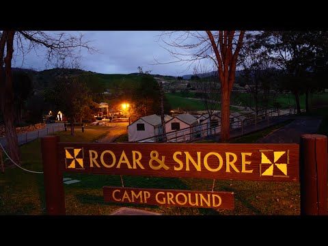 Roar & Snore Safari