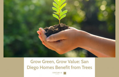 Grow Green, Grow Value: San Diego Homes Benefit from Trees