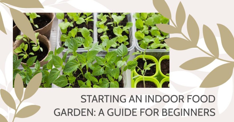 Starting an Indoor Food Garden: A Guide for Beginners