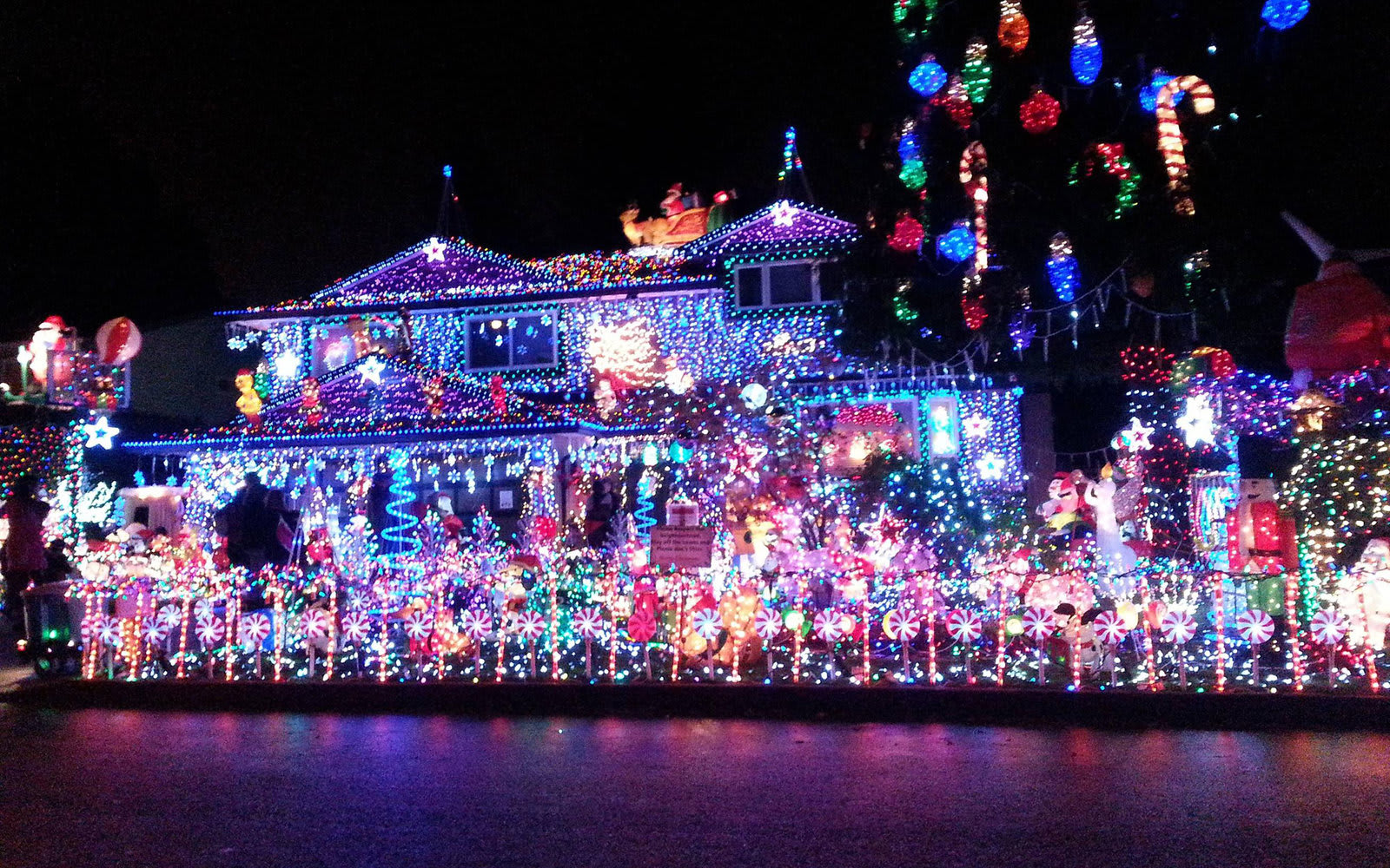 The 29 Best Places to See Christmas Lights in San Diego County