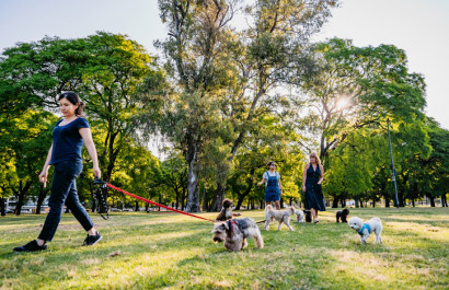 The Best Places to Walk Your Dog in Vienna, VA