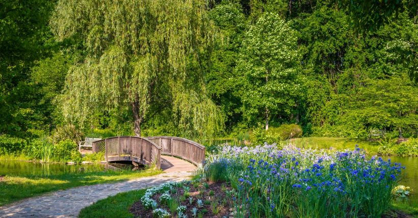 5 Best Summer Activities Near Vienna, VA