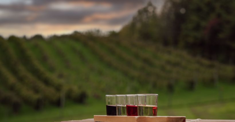 The Best Wineries in Northern Virginia to Visit This Fall