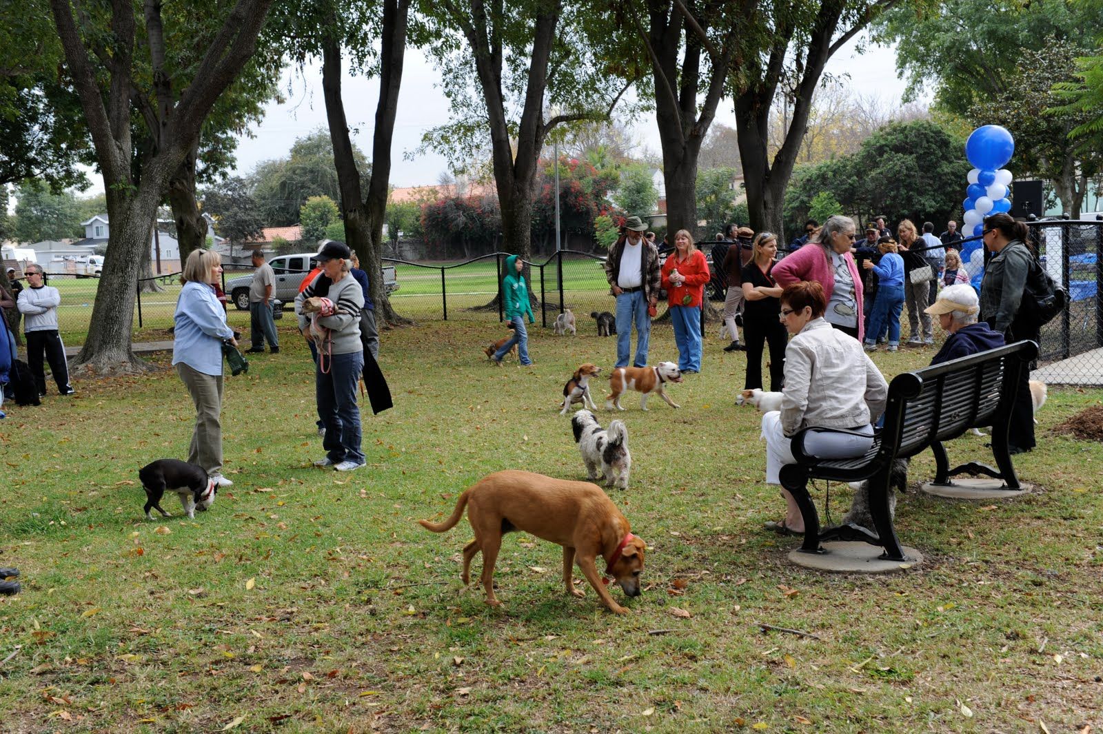 Dog Parks in Northern Virginia