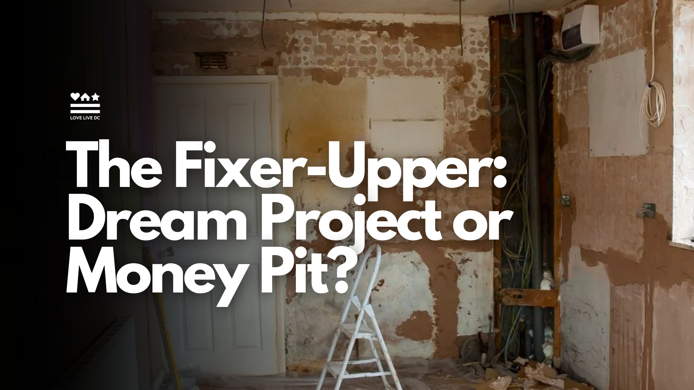Project Fixer The Fixer-Upper: Dream Project or Money Pit?