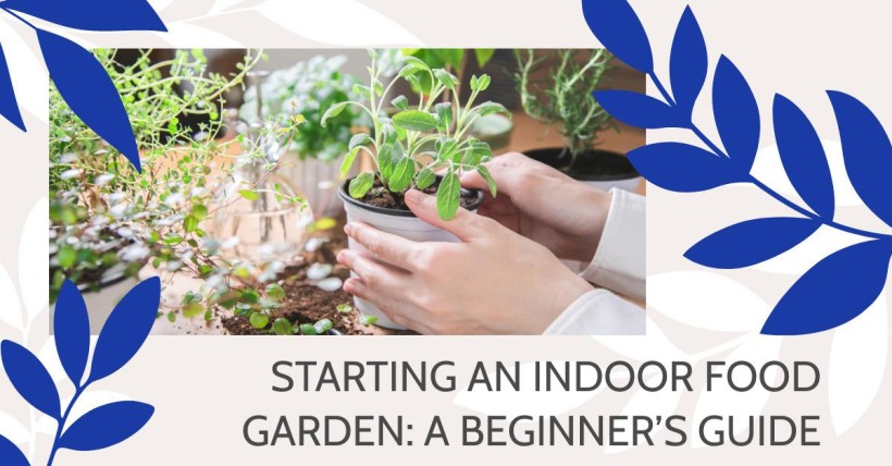 Starting an Indoor Food Garden: A Beginner’s Guide