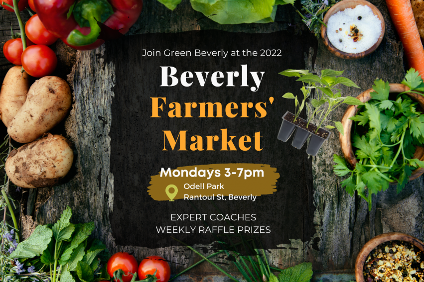 Beverly Farmers Marker
